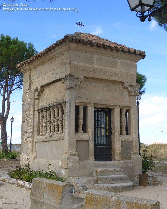 Ermita de la Virgen del Camino (la Caminanta) (Arévalo)