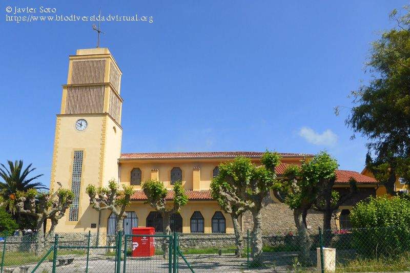 Parroquia de Monte San Pedro (Santander)
