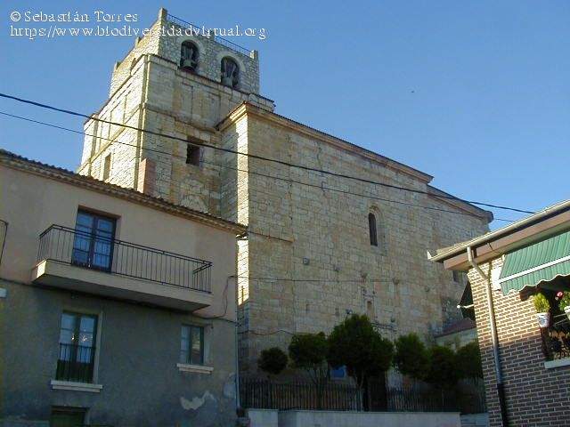 Parroquia de San Antolín (Fombellida)