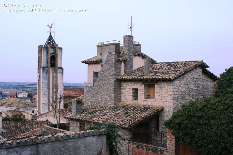Parroquia de San Esteban (Estadilla)