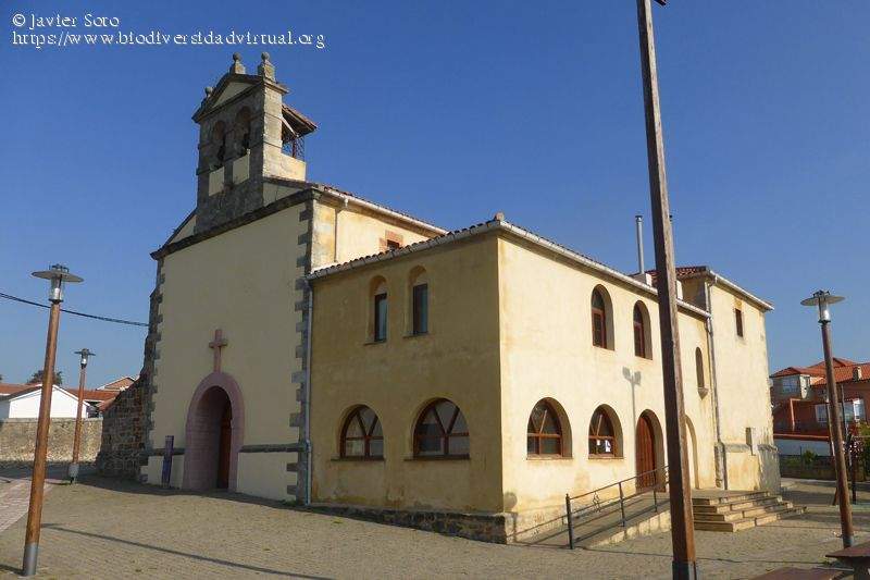 Parroquia de San Julián (Camargo)
