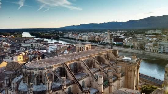 Parroquia de la Catedral (Tortosa)