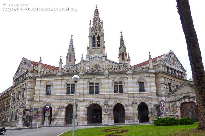 Parroquia de la Visitación de Nuestra Señora (Santander)